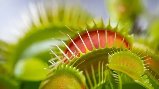 Vyhněte se pastím při psaní nabídek