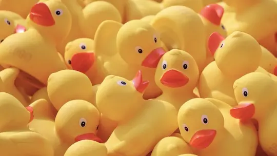 Kdy je lépe nabídku nevyhrát