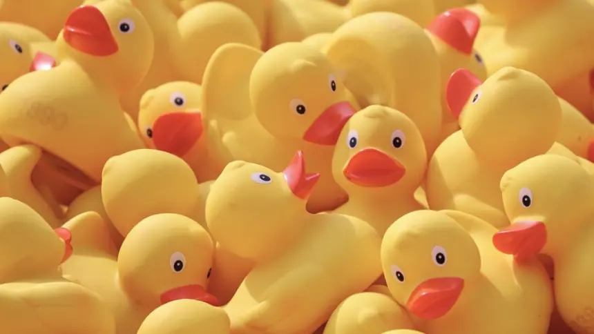 Kdy je lépe nabídku nevyhrát